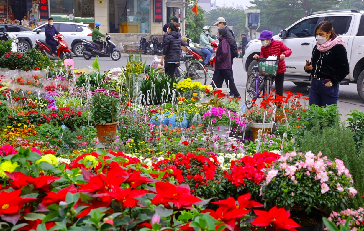 Không khí nhộn nhịp người tấp nập đi mua hoa tại chợ Lạc Long Quân