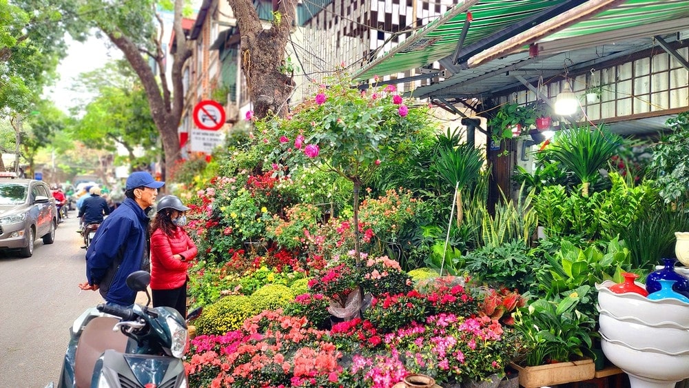 Chợ hoa Hoàng Hoa Thám