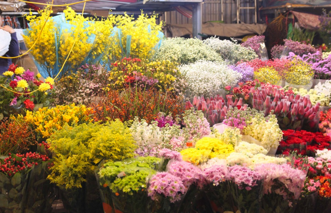 Khám phá chợ hoa Hồ Thị Kỷ 